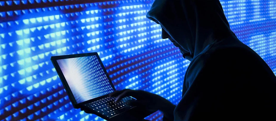 Video & Live Course